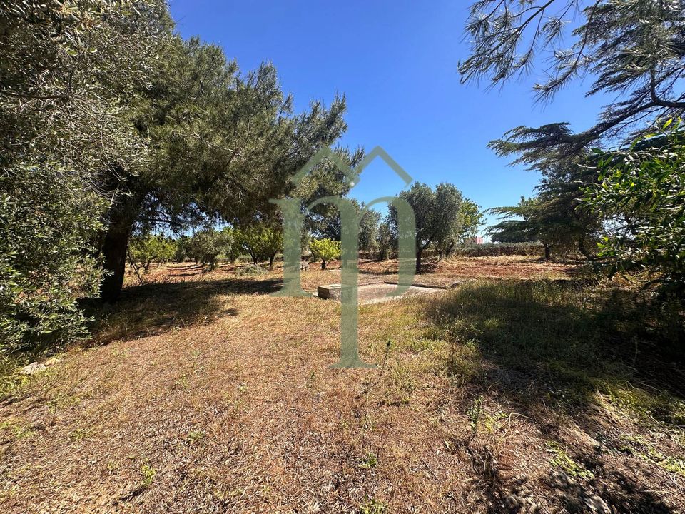 Helårsgrund i Carovigno, Brindisi - foto 5